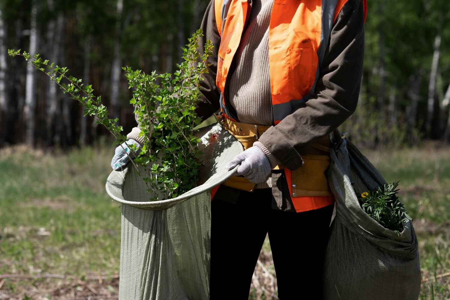 Fair Oaks Ranch, TX Tree Service Company